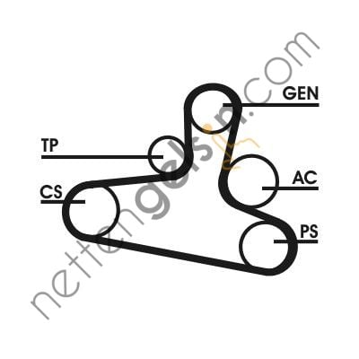 CONTITECH CT:6DPK1215 KAYIŞ VW ŞARZ T5,CADDYIII 1.9 TDİ KLİMALI 038903137S VW