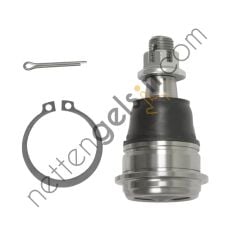 BLUEPRINT ADN18695 ROTIL ALT PRIMERA (P12) 02>08 ALMERA (N16) 00>06 MAXIMA QX 99>03  NISSAN BİNEK SALINCAK ROTILI