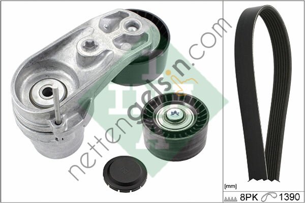 INA 529021010 KANALLI KAYIS SETI (KUTUKLU) BMW F20 F21 F22 F30 F32 F10 F25 F26 F15 E70 F16 X DRIVE  BMW BİNEK