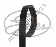 GATES GT:5PK1290 KAYIŞ MOTOR 168/414 166 MOTOR A0149973292 MERCEDES