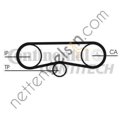 CONTITECH CT:CT1018 KAYIŞ VW POMPA A4,A6,PAS. 2.5 TDİ 059130113A-B VW