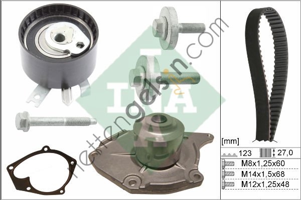 INA 530019731 TRIGER EKSANTRIK SETI DEVIRDAIMLI 123×270 CLIO II-III MEGANE FLUENCE KANGOO DUSTER FLUANCE SCENIC CA  NISSAN BİNEK TRİGER SETİ