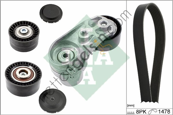 INA 529021110 KANALLI KAYIS SETI (KUTUKLU) BMW F20 F21 F22 F30 F32 F10 F25 F26 F15 E70 F16 X DRIVE  BMW BİNEK
