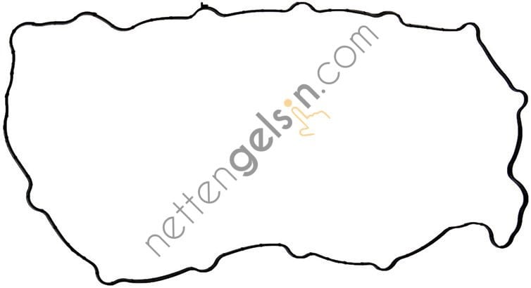 ASPART 016004383 SUPAP KAPAK LASTİĞİ RENAULT PREMIUM-KERAX 420 PS > 5010295777 RENAULT