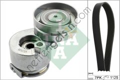 INA 529008810 KANALLI KAYIS SCENIC MEGANE 1,9DCI 2,0 16V 02=>  RENAULT BİNEK